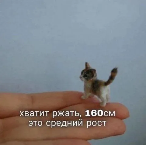 Котёнок ростом 160 см