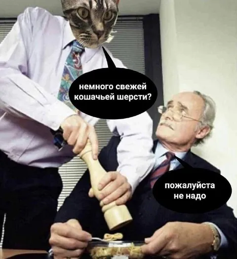 Свежая кошачья шерсть