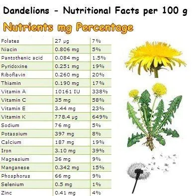 Dandelion Nutritional Facts