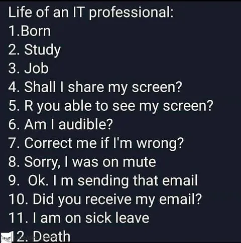 Life of an IT Professional