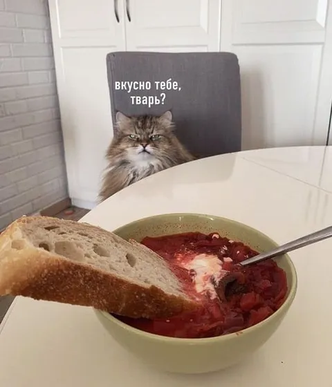 Вкусно тебе, тварь?