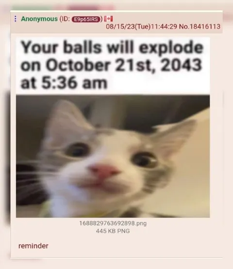 Cat Ball Explosion Reminder