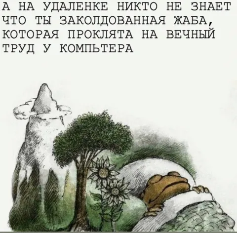 Заколдованная жаба на удалёнке