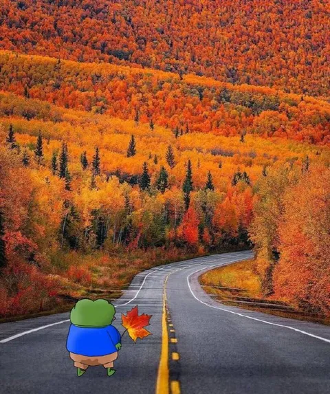 Пепе среди осеннего леса