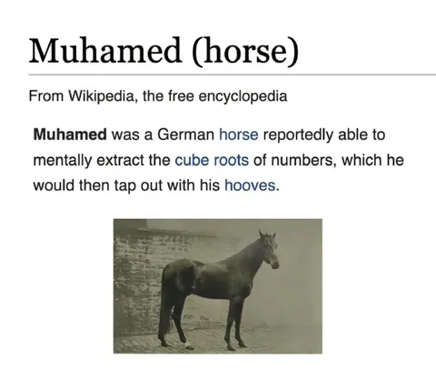 Muhamed the Cube-Root Horse