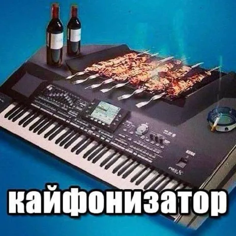 Кайфонизатор с вином и шашлыком