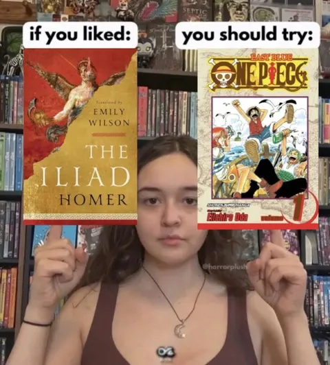 If You Liked The Iliad