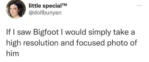 High-Resolution Bigfoot Photo