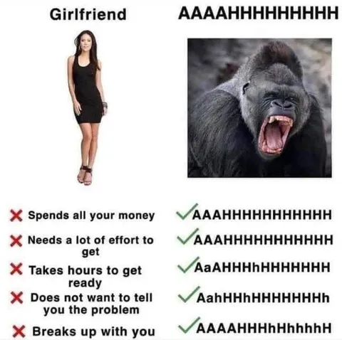 Girlfriend Versus Screaming Gorilla