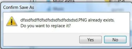 Confirm Save As Already Exists