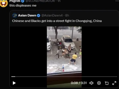 This Displeases Me Street Fight