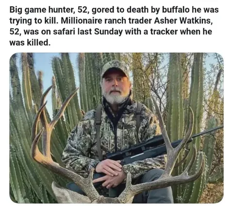 Hunter Killed by Buffalo