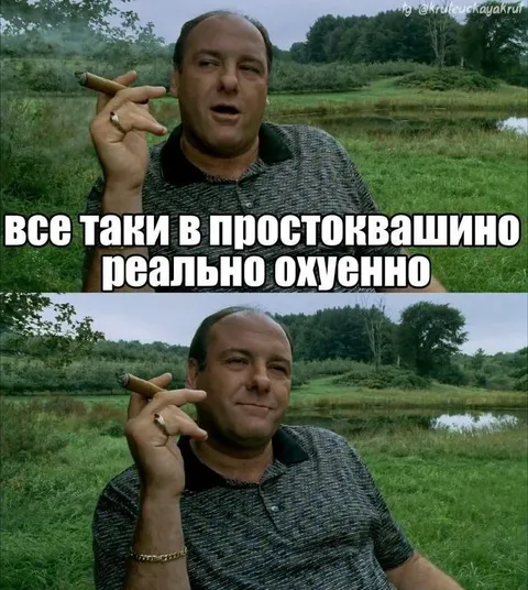 Тони Сопрано в Простоквашино