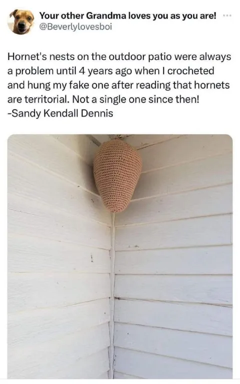 Fake Hornet Nest Keeps Hornets Away