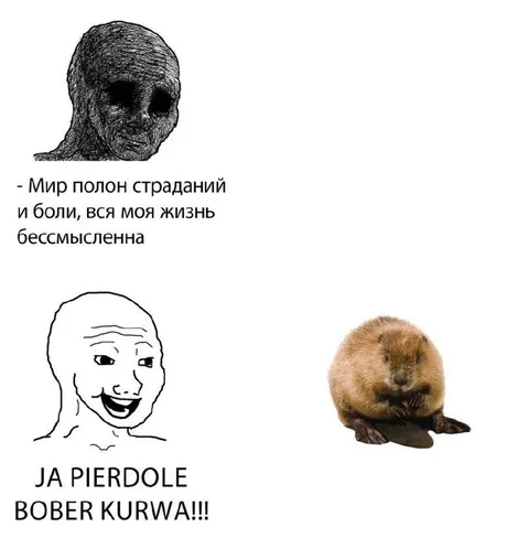 Мир полон страданий, но бобёр