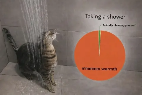 Taking a Shower for Warmth