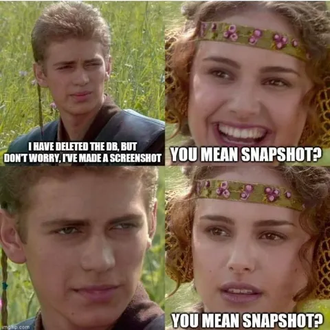 You Mean Snapshot?