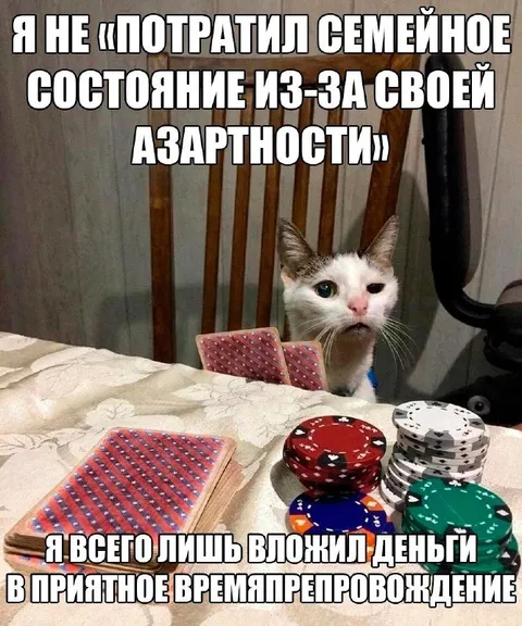 Вложил деньги в приятное времяпрепровождение