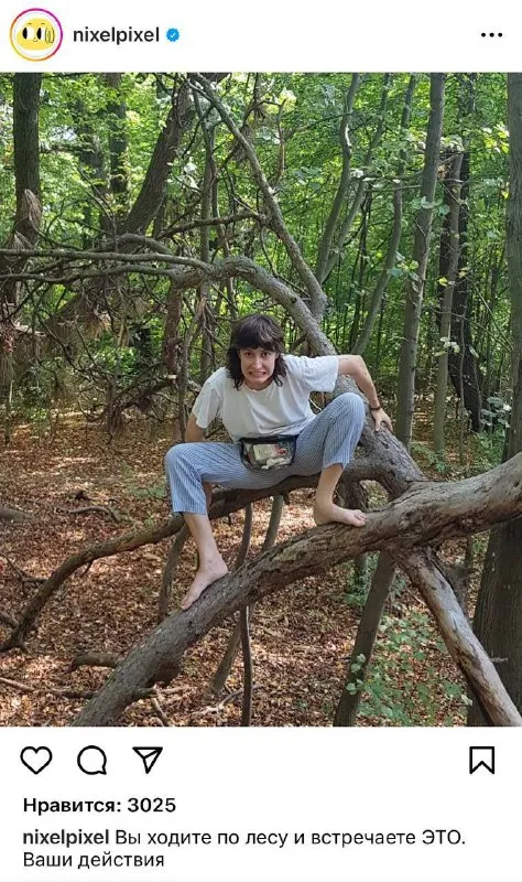 Вы встретили это в лесу
