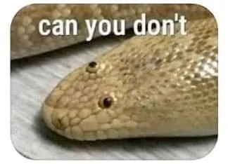 Can You Don't Snake