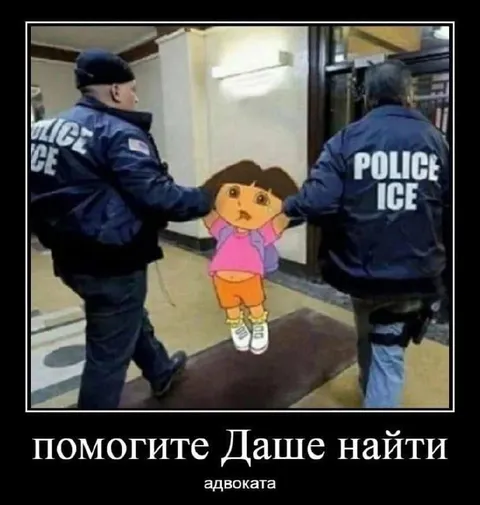 Даша ищет адвоката