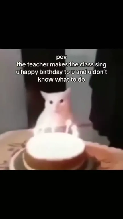 Awkward Birthday Song Cat