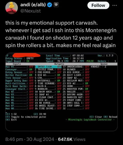 Emotional Support Carwash