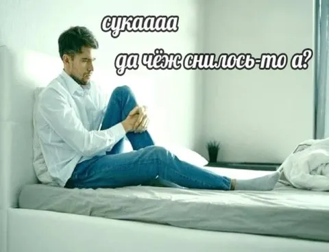Сука, что снилось-то