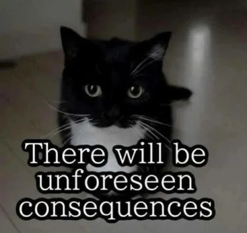 Black Cat Consequences Warning