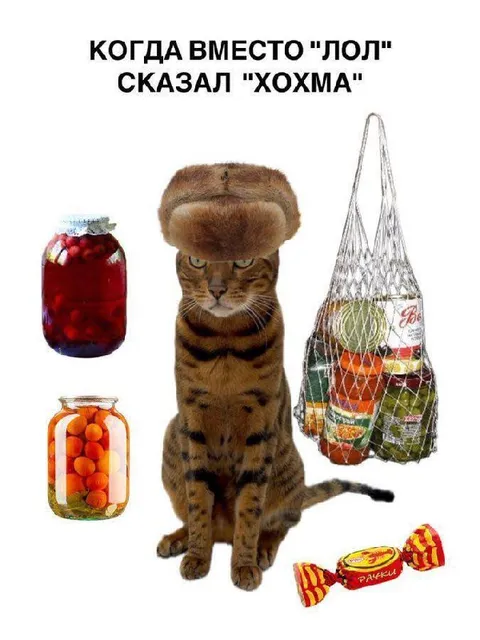 Когда вместо лол сказал хохма