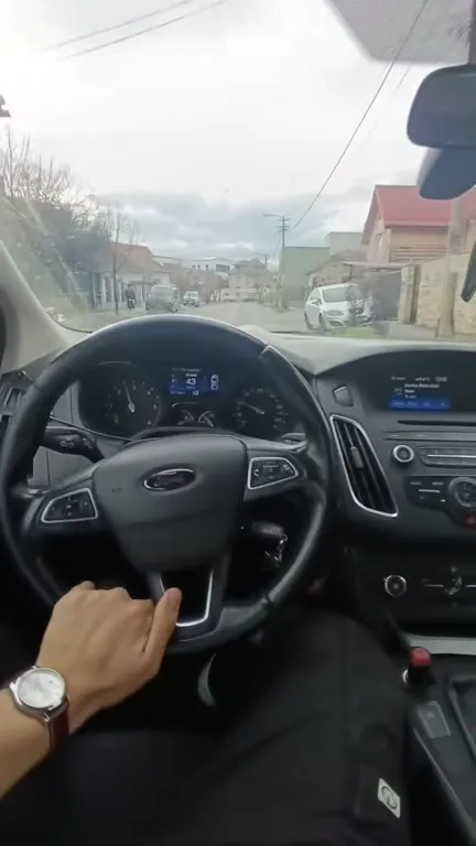 Лошадь за рулём