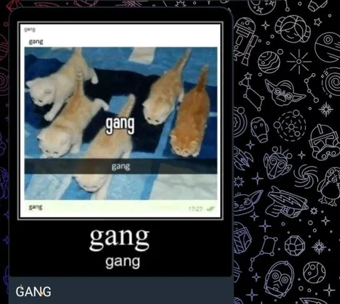 Gang of Kittens
