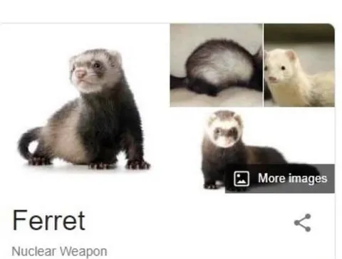 Ferret Nuclear Weapon Search