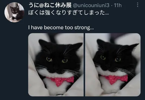 強くなりすぎた猫