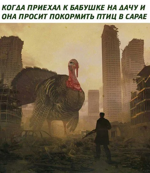 Покормить птиц у бабушки