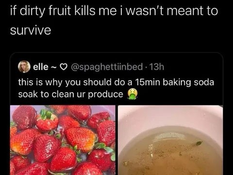 Dirty Fruit Survival Instinct