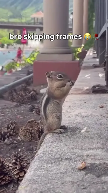 Chipmunk Skipping Frames
