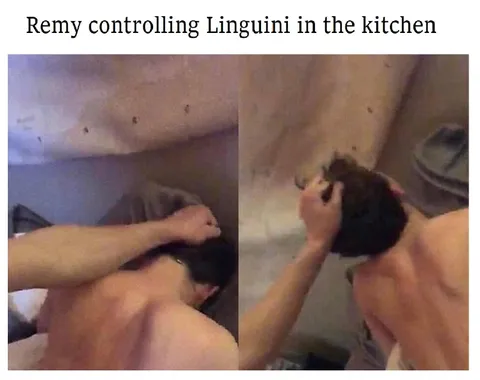 Remy Controlling Linguini