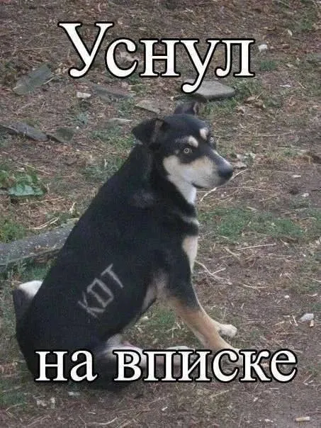 Уснул на вписке