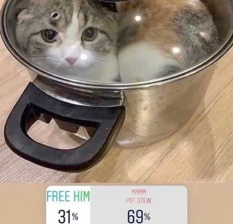 Free Him or Pot Stew