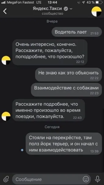 Взаимодействие с собаками