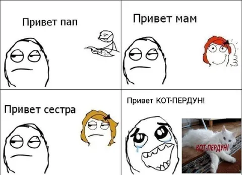 Привет кот-пердун