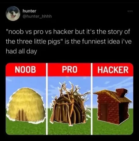 Noob Pro Hacker Three Little Pigs