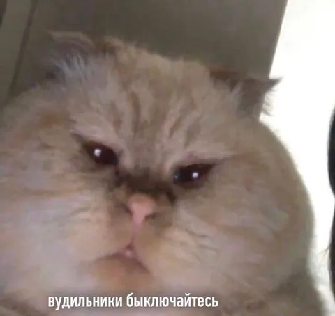 Кот просит выключить будильники