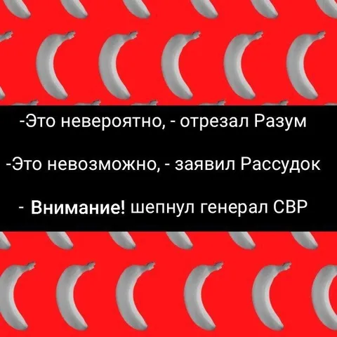 Разум, Рассудок и генерал СВР