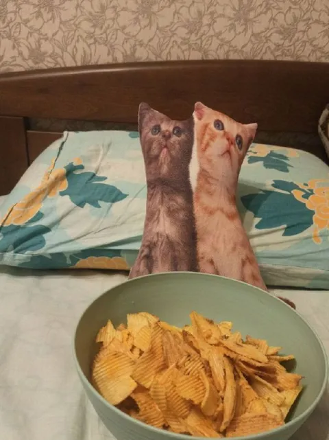 Коты и миска чипсов