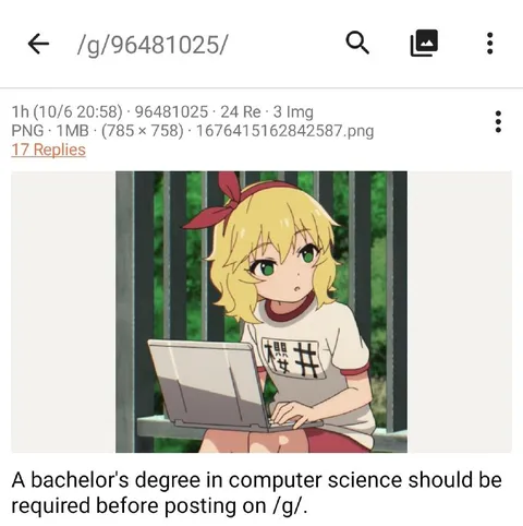 Computer Science Degree Required
