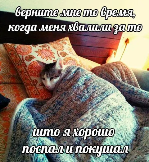 Когда хвалили за сон и еду