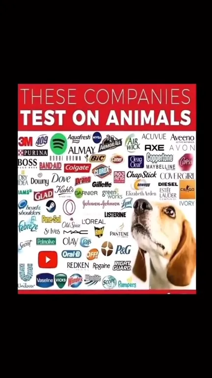 Cats Who Test on Animals