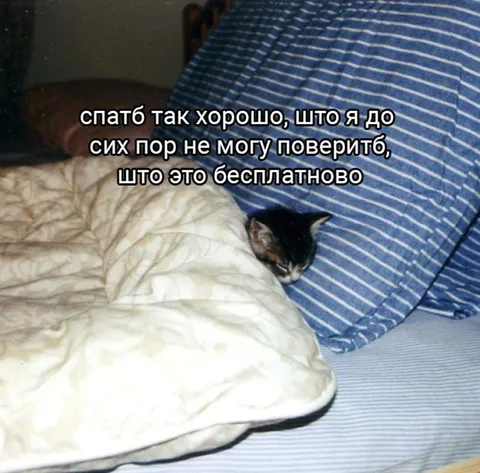 Спать так хорошо, что бесплатно